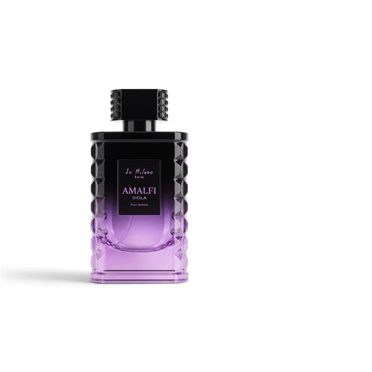 Jo Milano Amalfi Viola Pour Homme